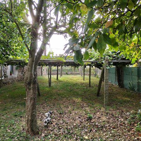 Casa Rural A Telleira A Estrada Exteriör bild